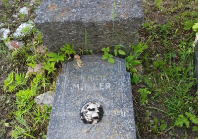 Kmínek Michal, 2019