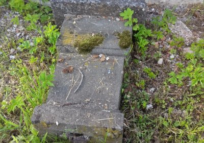 Kmínek Michal, 2019