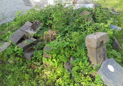 Kmínek Michal, 2019