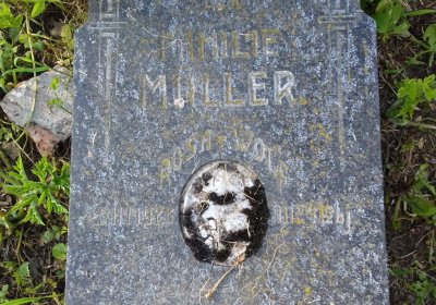 Kmínek Michal, 2019