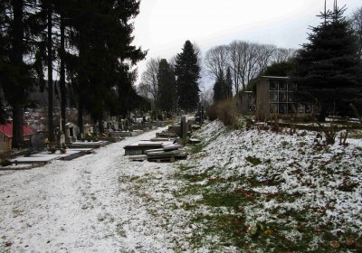 Kraslice, Ocelák Radek, 2016