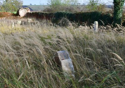 Podbořany židovský, Omnium, 2020