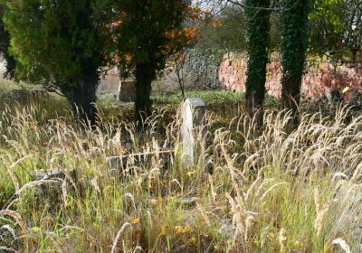 Podbořany židovský, Omnium, 2020