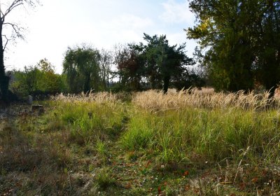 Podbořany židovský, Omnium, 2020