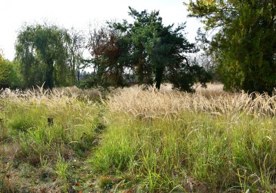 Podbořany židovský, Omnium, 2020