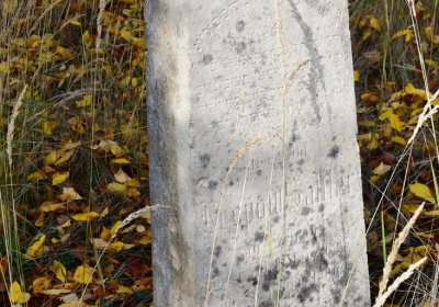 Podbořany židovský, Omnium, 2020