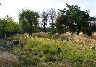 Podbořany židovský, Omnium, 2020