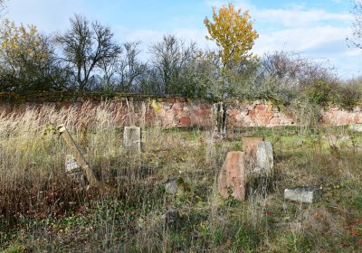 Podbořany židovský, Omnium, 2020