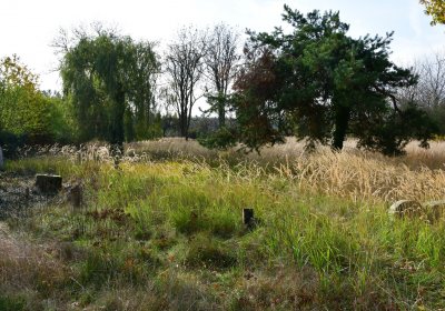 Podbořany židovský, Omnium, 2020