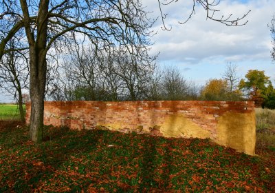 Podbořany židovský, Omnium, 2020