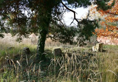 Podbořany židovský, Omnium, 2020