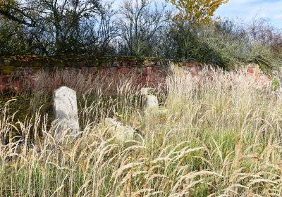 Podbořany židovský, Omnium, 2020