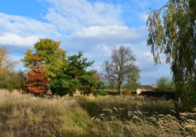 Podbořany židovský, Omnium, 2020