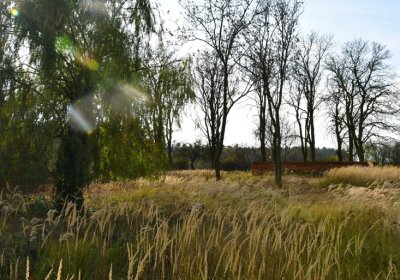 Podbořany židovský, Omnium, 2020