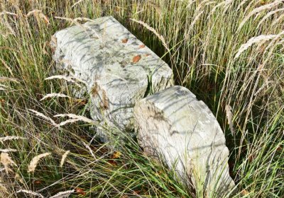 Podbořany židovský, Omnium, 2020