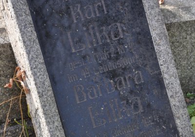 Přibenice, Omnium, 2020