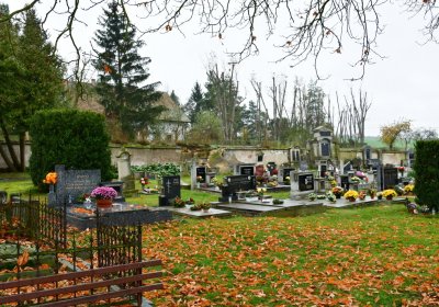 Soběchleby obecní, Omnium, 2020