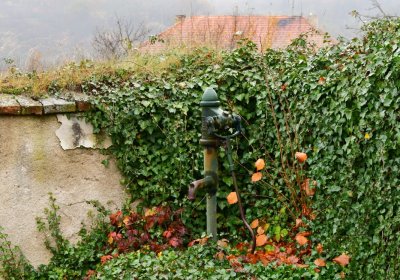 Soběchleby obecní, Omnium, 2020