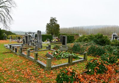 Soběchleby obecní, Omnium, 2020