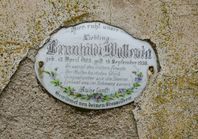 Soběchleby obecní, Omnium, 2020