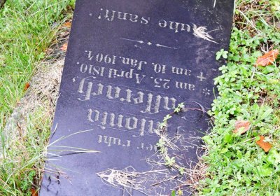 Soběchleby obecní, Omnium, 2020