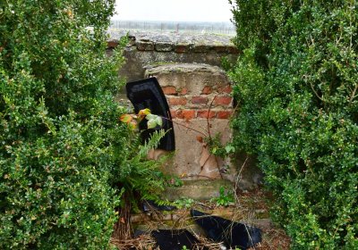 Soběchleby obecní, Omnium, 2020