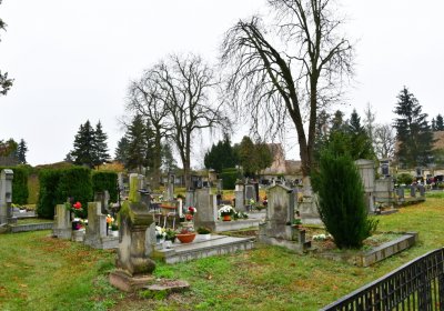 Soběchleby obecní, Omnium, 2020