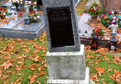 Soběchleby obecní, Omnium, 2020