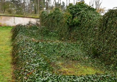 Soběchleby obecní, Omnium, 2020