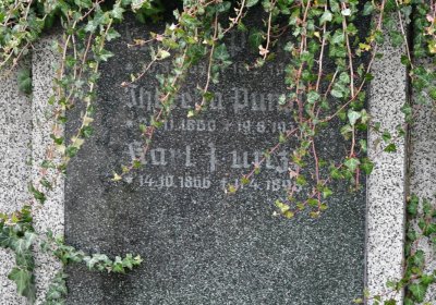 Soběchleby obecní, Omnium, 2020