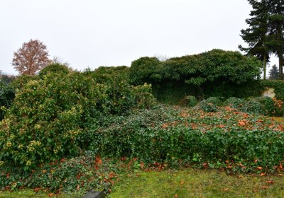 Soběchleby obecní, Omnium, 2020