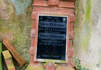 Soběchleby obecní, Omnium, 2020