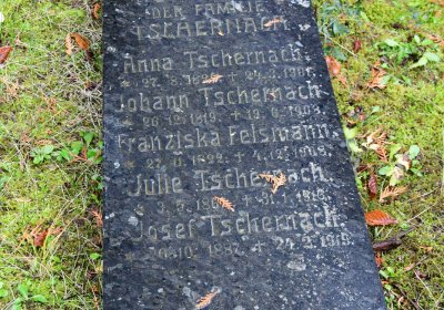 Soběchleby obecní, Omnium, 2020