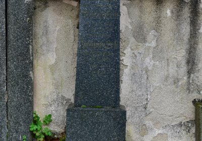 Soběchleby obecní, Omnium, 2020