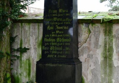 Soběchleby obecní, Omnium, 2020