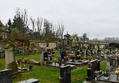 Soběchleby obecní, Omnium, 2020