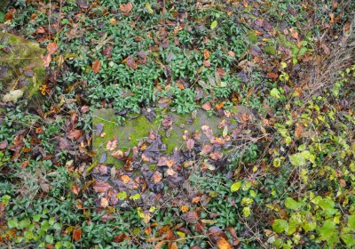 Soběchleby u kostela, Omnium, 2020