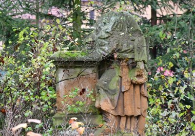 Soběchleby u kostela, Omnium, 2020