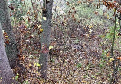 Soběchleby u kostela, Omnium, 2020