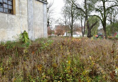 Soběchleby u kostela, Omnium, 2020