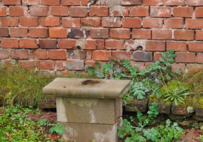 Siřem obecní, Omnium, 2020