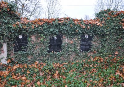 Siřem obecní, Omnium, 2020