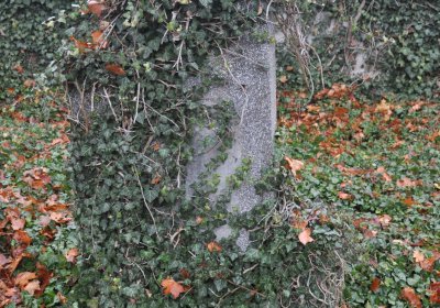 Siřem obecní, Omnium, 2020