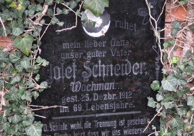 Siřem obecní, Omnium, 2020