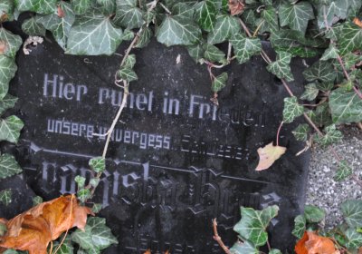 Siřem obecní, Omnium, 2020