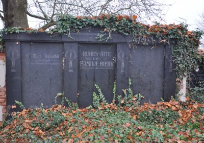 Siřem obecní, Omnium, 2020