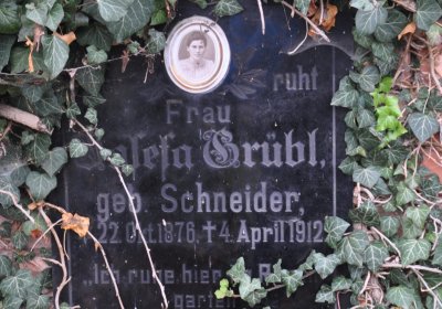 Siřem obecní, Omnium, 2020