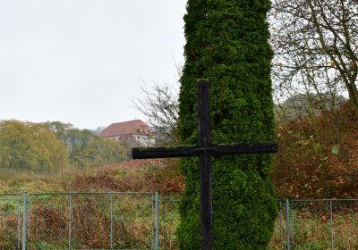 Siřem obecní, Omnium, 2020