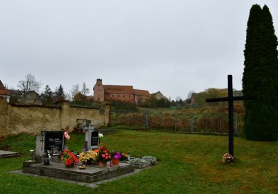 Siřem obecní, Omnium, 2020