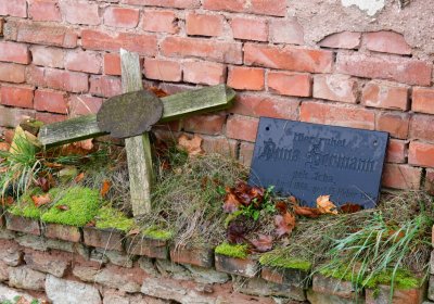 Siřem obecní, Omnium, 2020